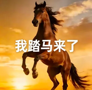 我踏马来了表情包
