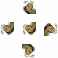 旋转马