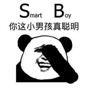 Smart boy你这小男孩真聪明