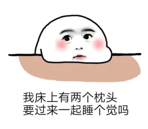 我床上有两个枕头，要过来一起睡个觉吗