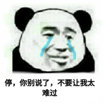 停.你别说了.不要让我太难过