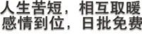 人生苦短，相互取暖，感情到位，日批免费