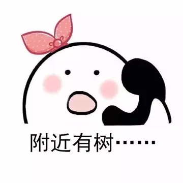 别跟路痴说方向。
