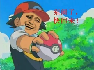神奇宝贝精灵球:别闹了.快回来
