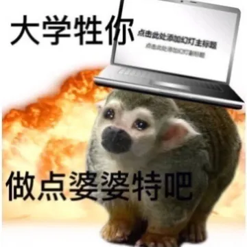 大学牲你点击此处添加幻灯主标题做点婆婆特吧