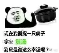现在我要捉一只鸽子，拿來煲洒到底是谁这么幸运呢