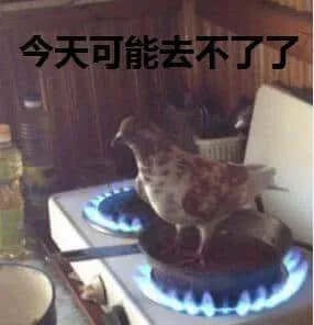 鸽子-今天可能去不了了