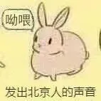 发出北京人的声音（哟喂）