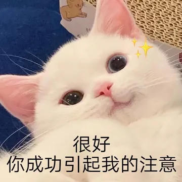 很好你成功引起我的注意
