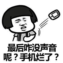 最后咋没声音呢？手机烂了？