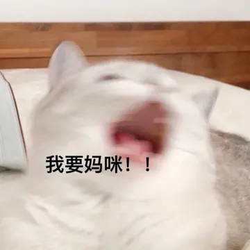 我要妈咪