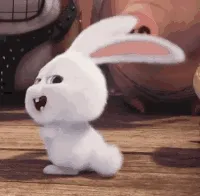 机密兔摇尾巴