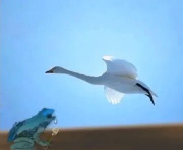 癞蛤蟆.天鹅