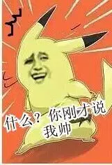 皮卡丘:什么 你刚才说我帅?