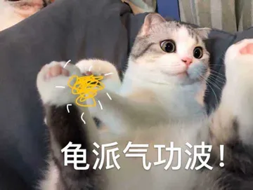 龟派气功波!