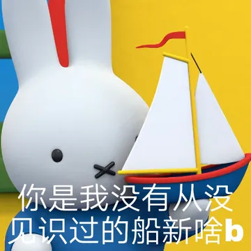 你是我没有从没见识过的船新啥b