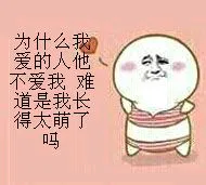 为什么我爱的人他分.他不爱我.难道是我长得太萌了