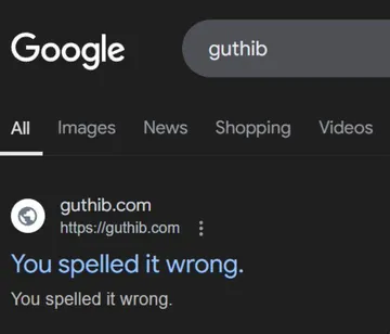 The Ultimate Developer Correction Service