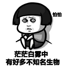 怕怕，茫茫白雾中有好多不知名生物