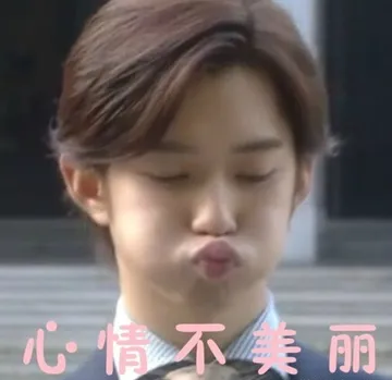 心情不美丽