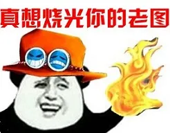海贼王艾斯:真想烧光你的老图