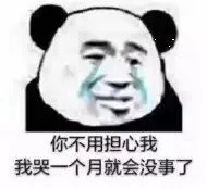 你不用担心我我哭一个月就会没事了