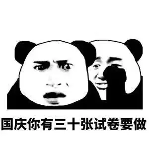 国庆你有三十张试卷要做