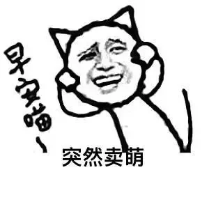 早安喵.突然卖萌!