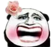 哈哈（妹子金馆长大笑）