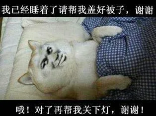 我已经睡着了请帮我盖好辈子再帮我关下灯