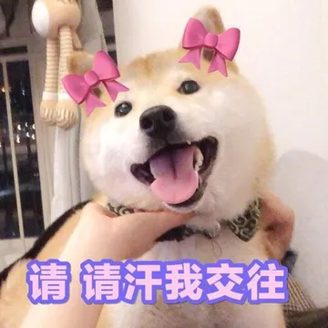 请请汗我交往