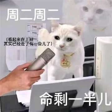 猫咪周一到周日的表情包（打工人版）