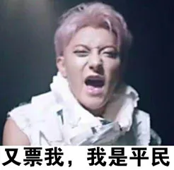 又票我，我是平民