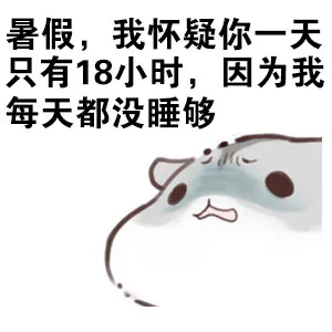 暑假， 我怀疑你一天只有18个小时，因为我每天都没睡够