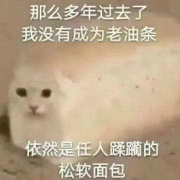 那么多年过去了我没有成为老油条依然是任人躁躏的松软面包