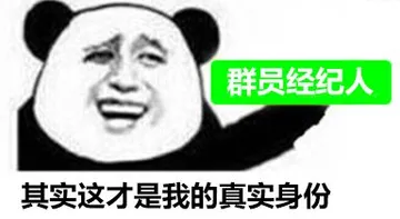 其实这才是我真实身份（群员经纪人）