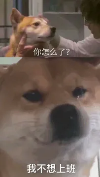 你怎么了?我不想上班