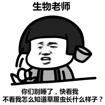 各科老师的名言金句，你都还记得吗