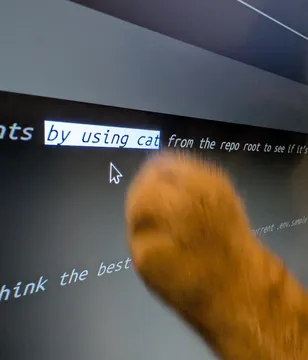 The Feline Code Reviewer