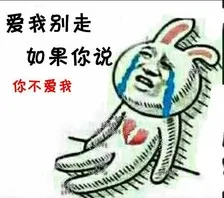 爱我别走如果你说你不爱我