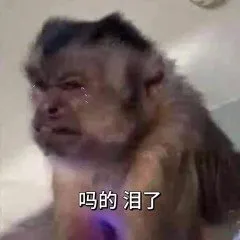 吗的泪了