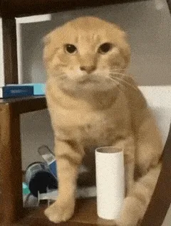 喷火耄耋