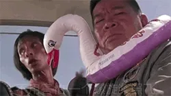 你们不用怕 没有螺旋桨也照样飞gif表情包系列