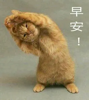 早安 memes
