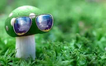 Deal With it Mushroom
