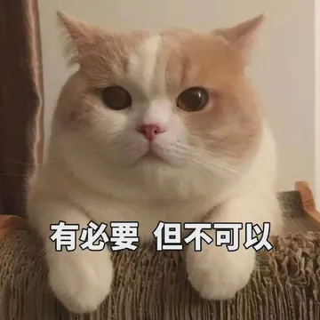 有必要 但不可以
