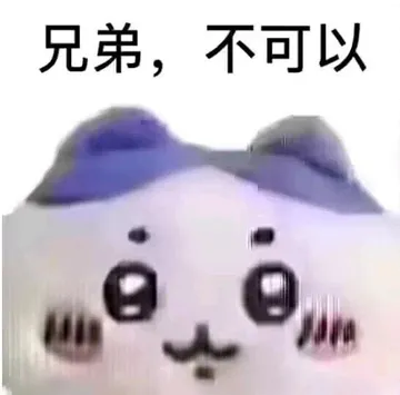 兄弟，不可以