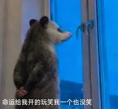 负鼠00009-命运给我开的玩笑我一个也没笑