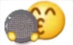 黄豆亲井盖