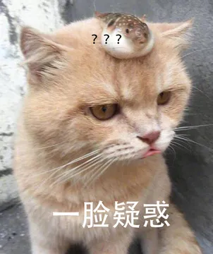 ??一脸疑惑